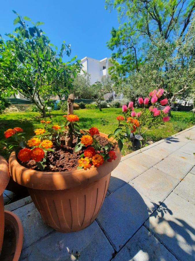 ביבינייה Apartment Noa'S Garden מראה חיצוני תמונה