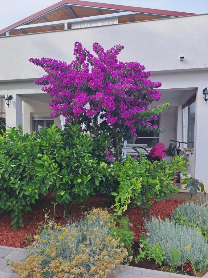 ביבינייה Apartment Noa'S Garden מראה חיצוני תמונה